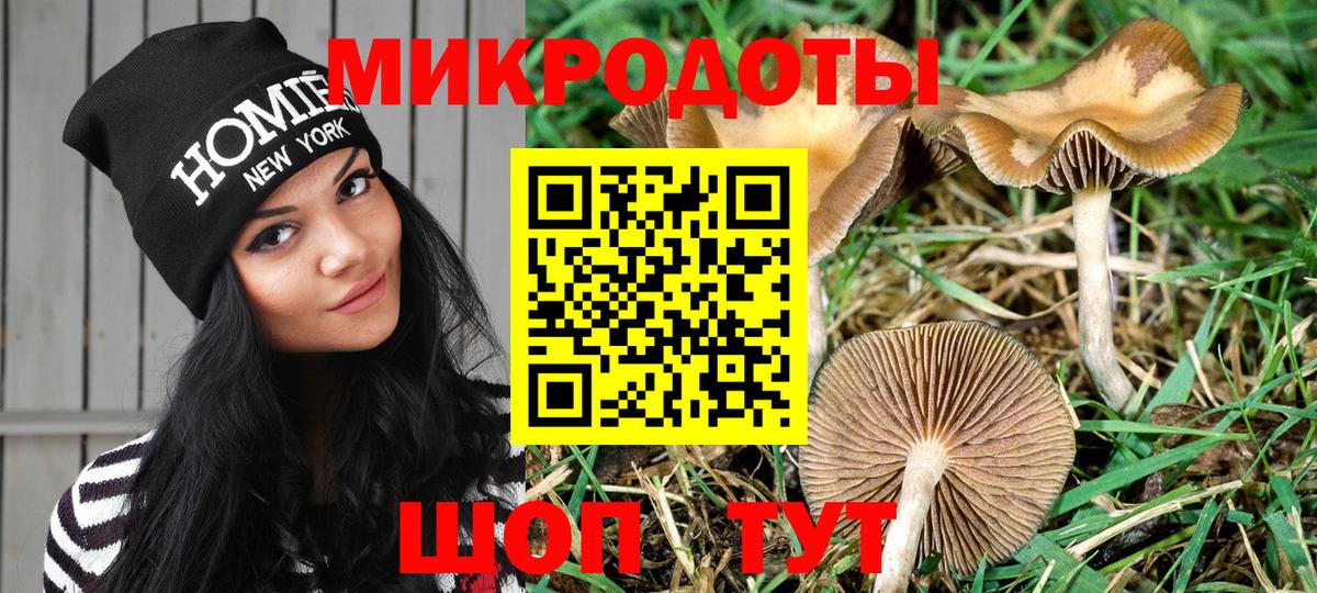 Алушта  Псилоцибиновые грибы Cubensis  Вход с VPN  Псилоцибиновые грибы Psilocybine cubensis 
